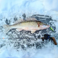 Westin F360° SBass Lures